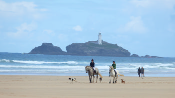 Godrevy Horses.jpg